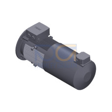 SIMOTICS GP MOTOR TYPE: 1AV3130B Low-voltage motor, IEC Squirrel-cage rotor, self-ventilated, IP55 T