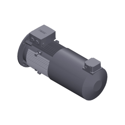 SIMOTICS GP MOTOR TYPE: 1AV3130B Low-voltage motor, IEC Squirrel-cage rotor, self-ventilated, IP55 T