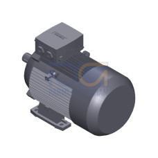 SIMOTICS GP MOTOR TYPE: 1AV3130B Low-voltage motor, IEC Squirrel-cage rotor, self-ventilated, IP55 T