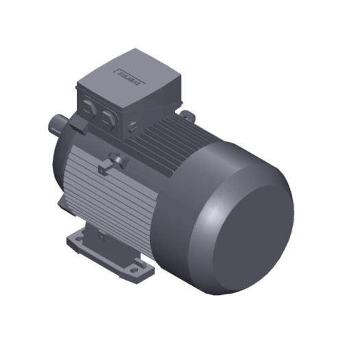 SIMOTICS GP MOTOR TYPE: 1AV3130B Low-voltage motor, IEC Squirrel-cage rotor, self-ventilated, IP55 T