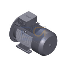 SIMOTICS GP MOTOR TYPE: 1AV3130B Low-voltage motor, IEC Squirrel-cage rotor, self-ventilated, IP55 T