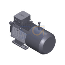 SIMOTICS GP MOTOR TYPE: 1AV3132B Low-voltage motor, IEC Squirrel-cage rotor, self-ventilated, IP55 T