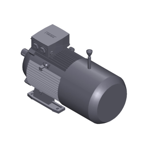 SIMOTICS GP MOTOR TYPE: 1AV3132B Low-voltage motor, IEC Squirrel-cage rotor, self-ventilated, IP55 T