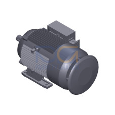 SIMOTICS GP MOTOR TYPE: 1AV3132B Low-voltage motor, IEC Squirrel-cage rotor, self-ventilated, IP55 T