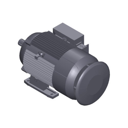 SIMOTICS GP MOTOR TYPE: 1AV3132B Low-voltage motor, IEC Squirrel-cage rotor, self-ventilated, IP55 T