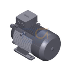 SIMOTICS GP MOTOR TYPE: 1AV3132B Low-voltage motor, IEC Squirrel-cage rotor, self-ventilated, IP55 T