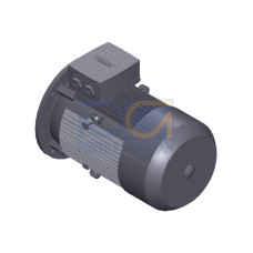 SIMOTICS GP MOTOR TYPE: 1AV3132B Low-voltage motor, IEC Squirrel-cage rotor, self-ventilated, IP55 T