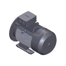SIMOTICS GP MOTOR TYPE: 1AV3132B Low-voltage motor, IEC Squirrel-cage rotor, self-ventilated, IP55 T