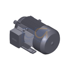 SIMOTICS GP MOTOR TYPE: 1AV3132B Low-voltage motor, IEC Squirrel-cage rotor, self-ventilated, IP55 T