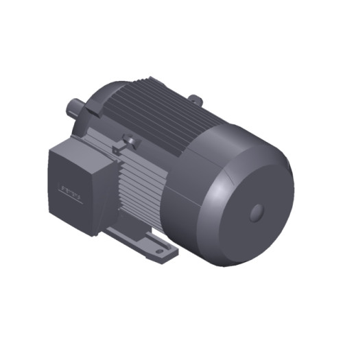 SIMOTICS GP MOTOR TYPE: 1AV3132B Low-voltage motor, IEC Squirrel-cage rotor, self-ventilated, IP55 T