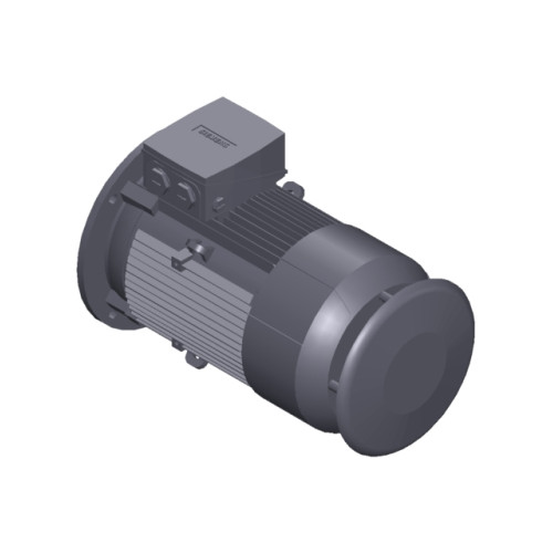 SIMOTICS GP MOTOR TYPE: 1AV3133C Low-voltage motor, IEC Squirrel-cage rotor, self-ventilated, IP55 T