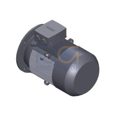 SIMOTICS GP MOTOR TYPE: 1AV3163A Low-voltage motor, IEC Squirrel-cage rotor, self-ventilated, IP55 T