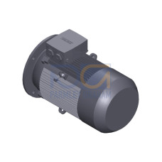 SIMOTICS GP MOTOR TYPE: 1AV3164A Low-voltage motor, IEC Squirrel-cage rotor, self-ventilated, IP55 T