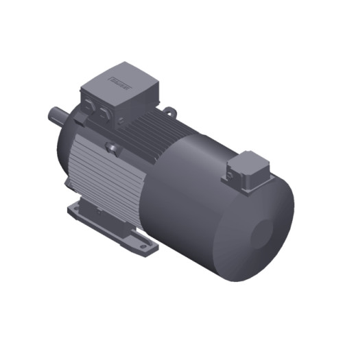 SIMOTICS GP MOTOR TYPE: 1AV3164B Low-voltage motor, IEC Squirrel-cage rotor, self-ventilated, IP55 T