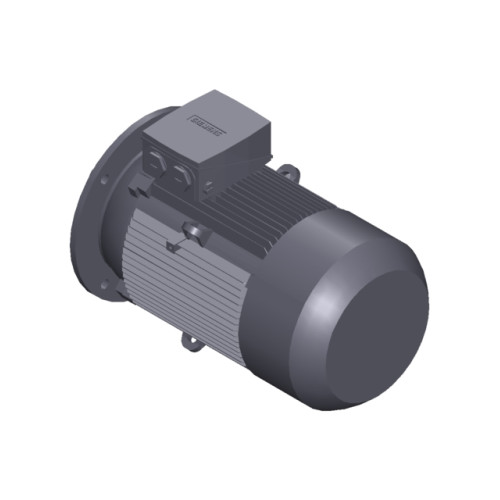 SIMOTICS GP MOTOR TYPE: 1AV3164B Low-voltage motor, IEC Squirrel-cage rotor, self-ventilated, IP55 T