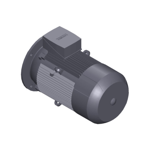 SIMOTICS GP MOTOR TYPE: 1AV3164B Low-voltage motor, IEC Squirrel-cage rotor, self-ventilated, IP55 T