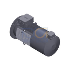 SIMOTICS GP MOTOR TYPE: 1AV3164C Low-voltage motor, IEC Squirrel-cage rotor, self-ventilated, IP55 T