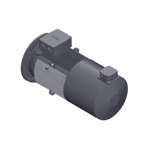 SIMOTICS GP MOTOR TYPE: 1AV3164C Low-voltage motor, IEC Squirrel-cage rotor, self-ventilated, IP55 T