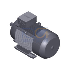 SIMOTICS GP MOTOR TYPE: 1AV3164C Low-voltage motor, IEC Squirrel-cage rotor, self-ventilated, IP55 T