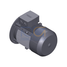 SIMOTICS GP MOTOR TYPE: 1AV1132L Low-voltage motor, IEC Squirrel-cage rotor, self-ventilated, IP55 T