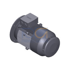 SIMOTICS GP MOTOR TYPE: 1AV1164L Low-voltage motor, IEC Squirrel-cage rotor, self-ventilated, IP55 T