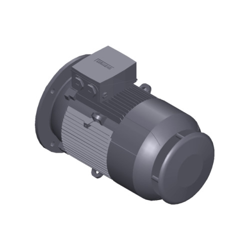 SIMOTICS GP MOTOR TYPE: 1AV1164L Low-voltage motor, IEC Squirrel-cage rotor, self-ventilated, IP55 T