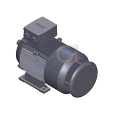 SIMOTICS GP MOTOR TYPE: 1AV3112B Low-voltage motor, IEC Squirrel-cage rotor, self-ventilated, IP55 T