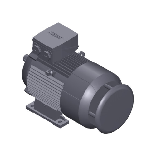 SIMOTICS GP MOTOR TYPE: 1AV3112B Low-voltage motor, IEC Squirrel-cage rotor, self-ventilated, IP55 T