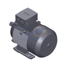 SIMOTICS GP MOTOR TYPE: 1AV3130A Low-voltage motor, IEC Squirrel-cage rotor, self-ventilated, IP55 T