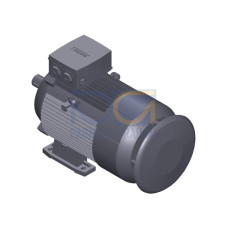 SIMOTICS GP MOTOR TYPE: 1AV3131A Low-voltage motor, IEC Squirrel-cage rotor, self-ventilated, IP55 T