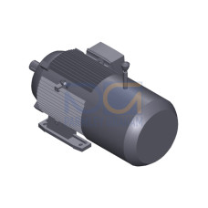 SIMOTICS GP MOTOR TYPE: 1AV3132B Low-voltage motor, IEC Squirrel-cage rotor, self-ventilated, IP55 T
