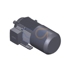 SIMOTICS GP MOTOR TYPE: 1AV3132B Low-voltage motor, IEC Squirrel-cage rotor, self-ventilated, IP55 T