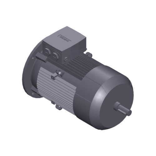 SIMOTICS GP MOTOR TYPE: 1AV3132B Low-voltage motor, IEC Squirrel-cage rotor, self-ventilated, IP55 T