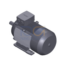 SIMOTICS GP MOTOR TYPE: 1AV3164B Low-voltage motor, IEC Squirrel-cage rotor, self-ventilated, IP55 T
