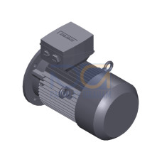SIMOTICS SD MOTOR TYPE: 1CV2090A Low-voltage motor, IEC Squirrel-cage rotor, self-ventilated, IP55 T
