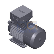 SIMOTICS SD MOTOR TYPE: 1CV2104A Low-voltage motor, IEC Squirrel-cage rotor, self-ventilated, IP55 T