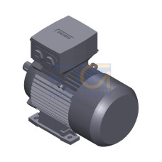 SIMOTICS SD MOTOR TYPE: 1CV2104B Low-voltage motor, IEC Squirrel-cage rotor, self-ventilated, IP55 T