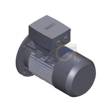 SIMOTICS SD MOTOR TYPE: 1CV2104B Low-voltage motor, IEC Squirrel-cage rotor, self-ventilated, IP55 T
