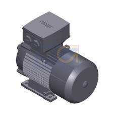 SIMOTICS SD MOTOR TYPE: 1CV2104B Low-voltage motor, IEC Squirrel-cage rotor, self-ventilated, IP55 T
