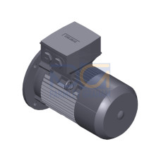 SIMOTICS SD MOTOR TYPE: 1CV2104B Low-voltage motor, IEC Squirrel-cage rotor, self-ventilated, IP55 T