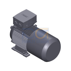 SIMOTICS SD MOTOR TYPE: 1CV2116A Low-voltage motor, IEC Squirrel-cage rotor, self-ventilated, IP55 T