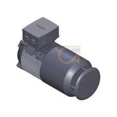 SIMOTICS SD MOTOR TYPE: 1CV2112B Low-voltage motor, IEC Squirrel-cage rotor, self-ventilated, IP55 T