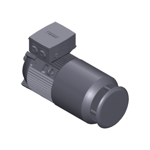 SIMOTICS SD MOTOR TYPE: 1CV2112B Low-voltage motor, IEC Squirrel-cage rotor, self-ventilated, IP55 T