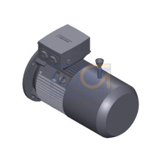SIMOTICS SD MOTOR TYPE: 1CV2112B Low-voltage motor, IEC Squirrel-cage rotor, self-ventilated, IP55 T