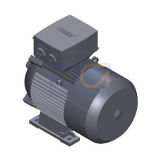 SIMOTICS SD MOTOR TYPE: 1CV2112B Low-voltage motor, IEC Squirrel-cage rotor, self-ventilated, IP55 T