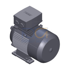 SIMOTICS SD MOTOR TYPE: 1CV2112B Low-voltage motor, IEC Squirrel-cage rotor, self-ventilated, IP55 T