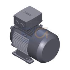 SIMOTICS SD MOTOR TYPE: 1CV2112C Low-voltage motor, IEC Squirrel-cage rotor, self-ventilated, IP55 T