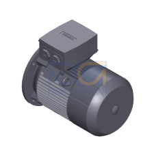 SIMOTICS SD MOTOR TYPE: 1CV2112C Low-voltage motor, IEC Squirrel-cage rotor, self-ventilated, IP55 T