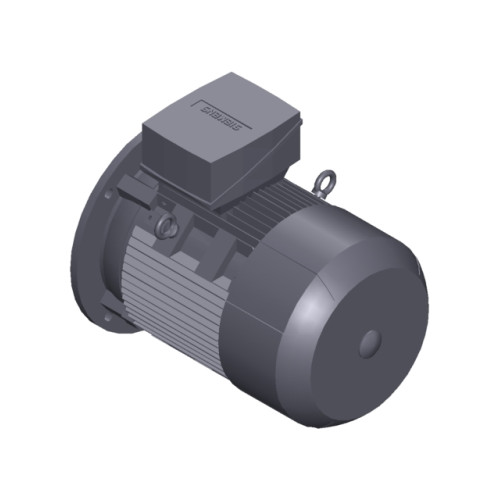 SIMOTICS SD MOTOR TYPE: 1CV2130B Low-voltage motor, IEC Squirrel-cage rotor, self-ventilated, IP55 T