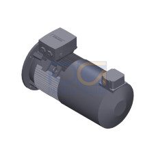 SIMOTICS SD MOTOR TYPE: 1CV2130B Low-voltage motor, IEC Squirrel-cage rotor, self-ventilated, IP55 T